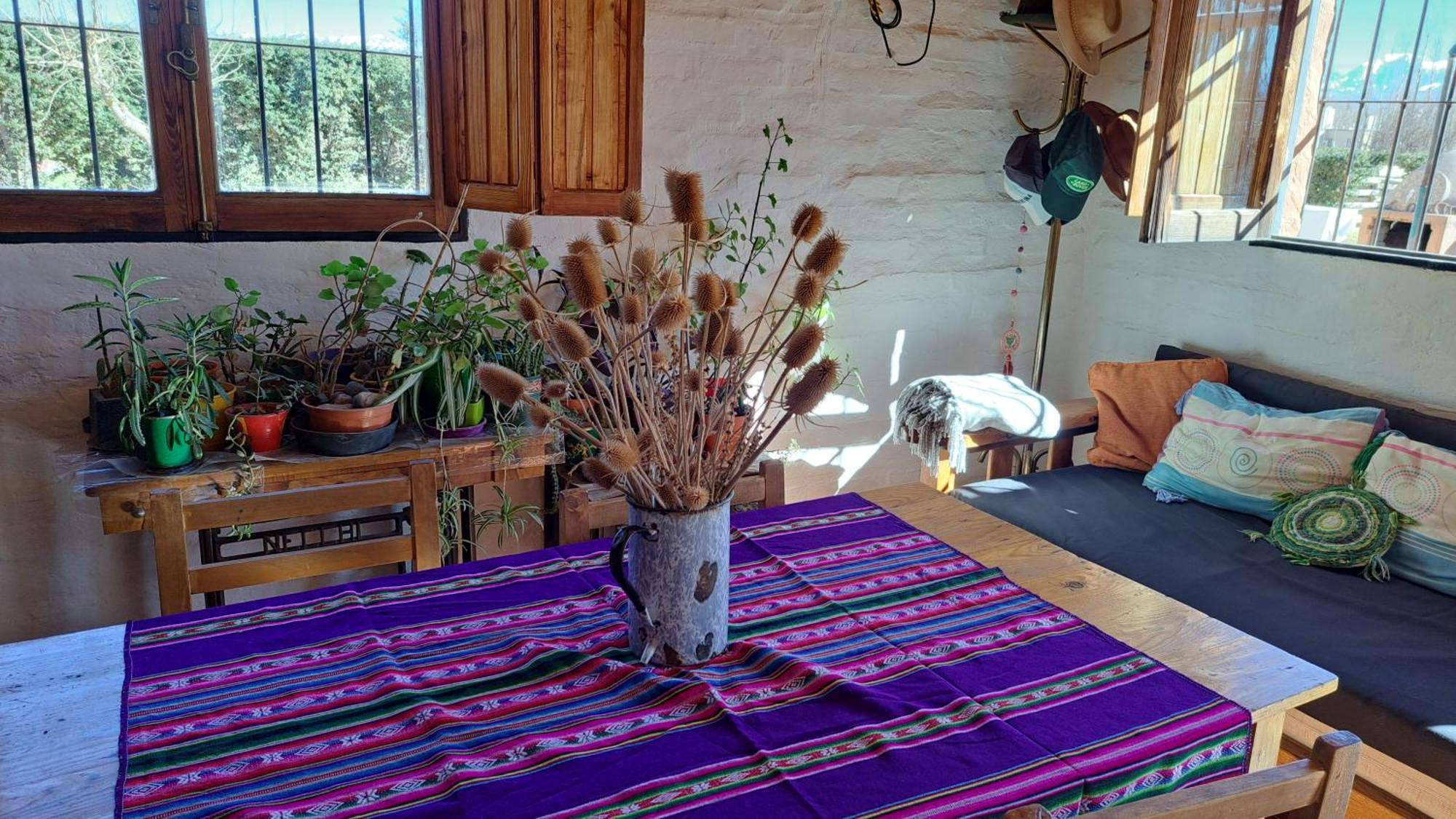 Aire De Barreal Hostel Andino Екстериор снимка