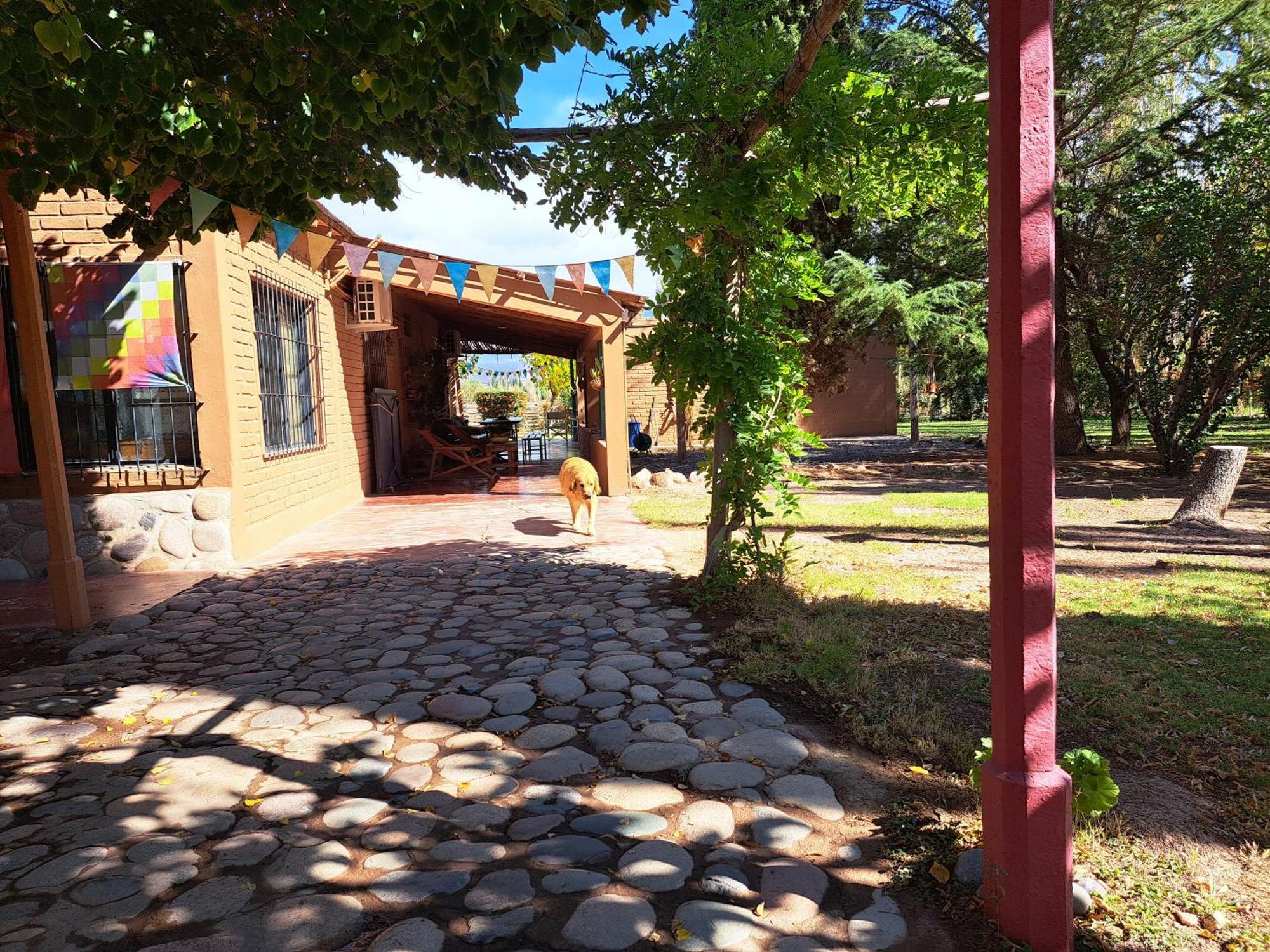 Aire De Barreal Hostel Andino Екстериор снимка